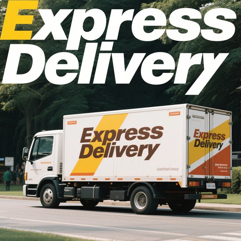 Express Delivery Shipping